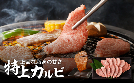 【 鹿児島 黒毛和牛 A4 ～ A5 】 焼肉 特上 セット ( 特上カルビ / 特上ロース ) K189-007 肉 牛肉 冷凍