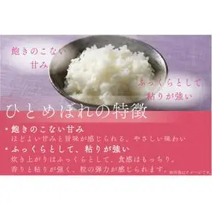【白米】令和7年産 特別栽培米 ひとめぼれ 5㎏ CP037 完熟夕陽米