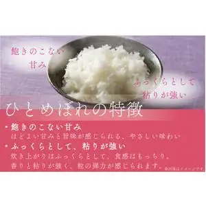 【白米】令和7年産 特別栽培米 ひとめぼれ 10kg CP029 完熟あさ陽米