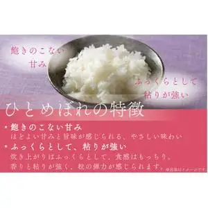 【白米】令和7年産 特別栽培米 ひとめぼれ 20kg CP030 完熟あさ陽米