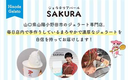 ＜業務用＞大人気！ヒノデジェラート みるく 1kg 業務用 ジェラート ミルク 牛乳 アイスクリーム デザート ご当地 グルメ 食品 F6L-669