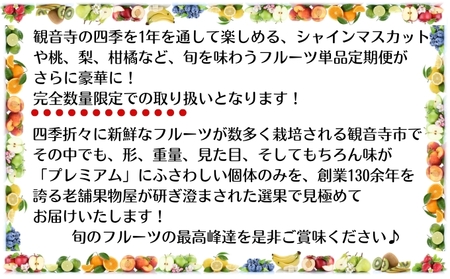 【数量限定！】旬の見極めこの一品！プレミアム等級選果の12ヶ月連続単品定期便♪ 苺 せとか 葡萄 蜜柑 びわ 桃 梨 柿 