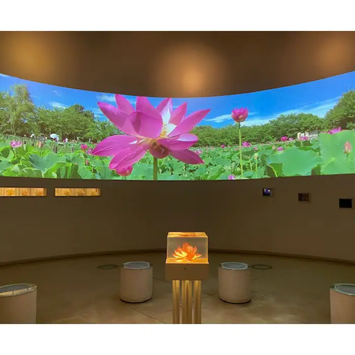 古代蓮会館・夜間特別鑑賞券～展望室から夕日と夜景を貸切で！～ No.338