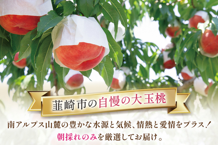 【2026年発送】 桃 山梨 大玉 8～10玉 約 3kg もも モモ 3キロ 果物 フルーツ くだもの 果実 朝採れ 朝どれ 旬 季節限定 期間限定 数量限定 冷蔵 大玉桃 デザート 農園産直 産地直送 ジューシー 厳選 [斉藤農園 山梨県 韮崎市 20743041]