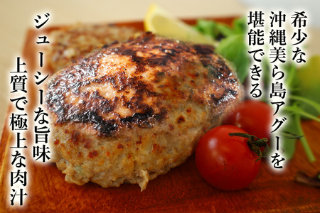 ハンバーグ 16個 セット あぐー 豚肉 61-4