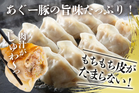 餃子 80個セット 20個入×4パック あぐー 61-3