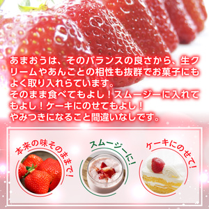 いちご あまおう 冬 540g以上 いちご [um40azp070002]