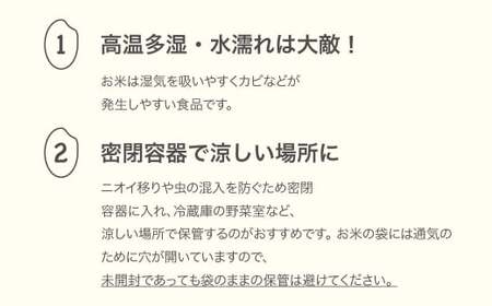 令和7年産 はえぬき 精米 20kg mk-haxxa20