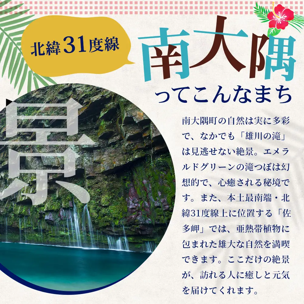 【返礼品なし】南大隅町への寄附　1口50,000円
