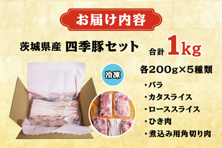 四季豚　ドーンとまるごと味わえる１kgセット IX-001