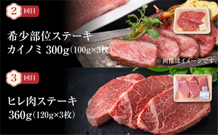 《定期便3回》飛騨牛 ステーキ定期便 プレミアム [S485]