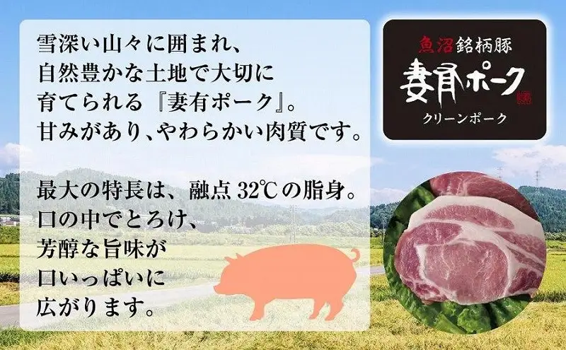 妻有ポーク 豚ロース 山賊漬け 100g × 4個 つまりポーク 豚肉 ポーク 神楽南蛮 南蛮じょうから 松乃井 吟醸酒粕 酒粕 お取り寄せ ギフト グルメ ファームランド・木落 新潟県 十日町市 