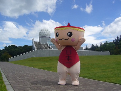 マルちゃん 吉田のうどんカップ麺 (12個入り) カップ インスタント アウトドア 非常食 うどん セット