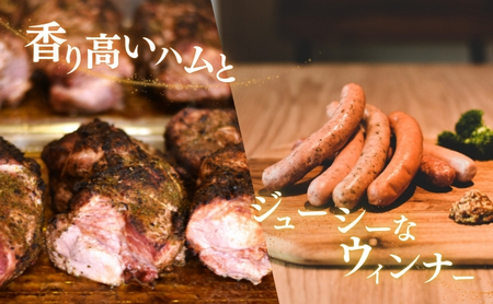 メッツゲライテラ　セレクトファイブ お肉 豚肉 ハム ソーセージ ジューシー ドイツのスパイス 詰め合わせ 惣菜 サラダ おつまみ 