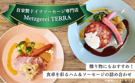 メインディッシュグリルセット お肉 豚肉 ハム ソーセージ ジューシー ドイツのスパイス 詰め合わせ 惣菜 サラダ おつまみ 