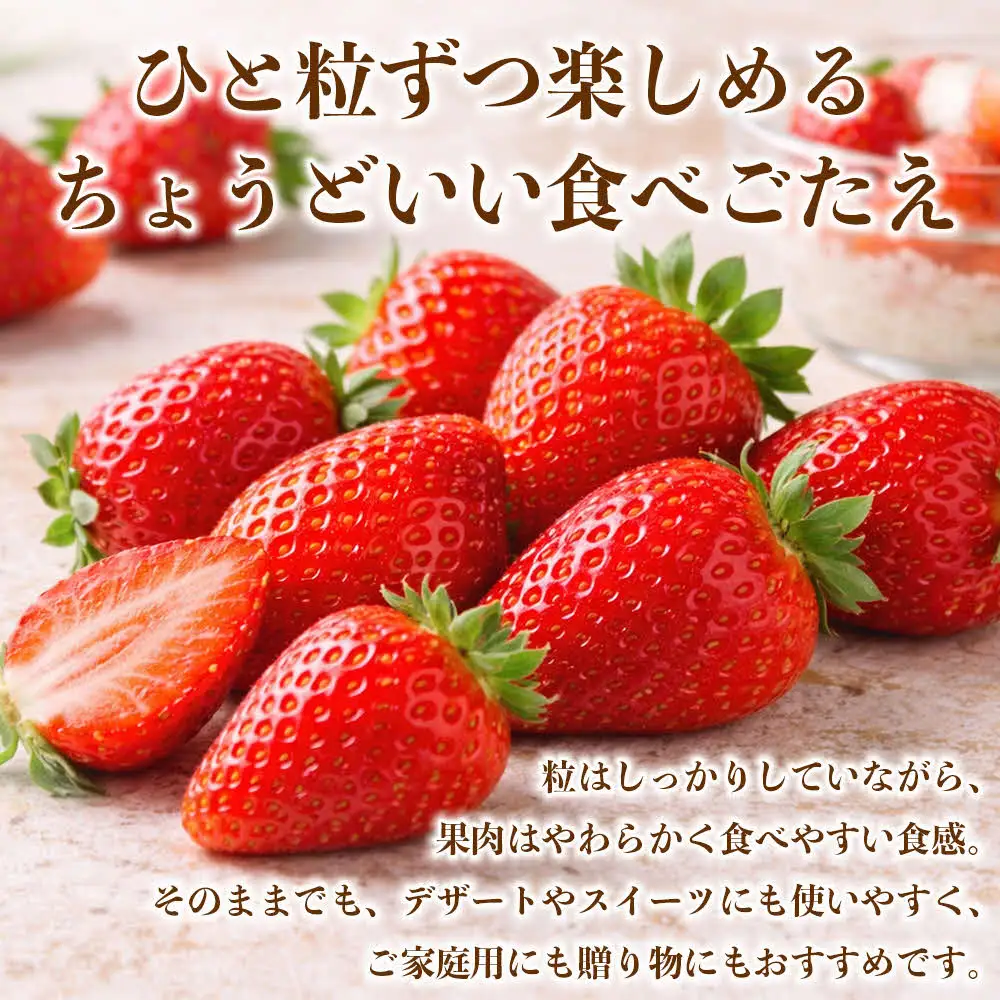 【先行予約】 いちご 約1kg（約250g×4パック） イチゴ 苺 【2027年1月上旬より順次発送】