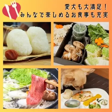 タイニーキャビンタテグ軽井沢御代田の宿泊券(1泊2日3名様まで)【平日・日曜限定】_旅行券・チケット 宿泊券  _【1433791】