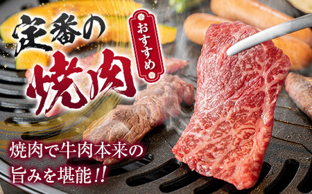 鹿児島県産 黒毛和牛 おまかせ 焼肉 600g K002-046 肉 牛肉 冷凍