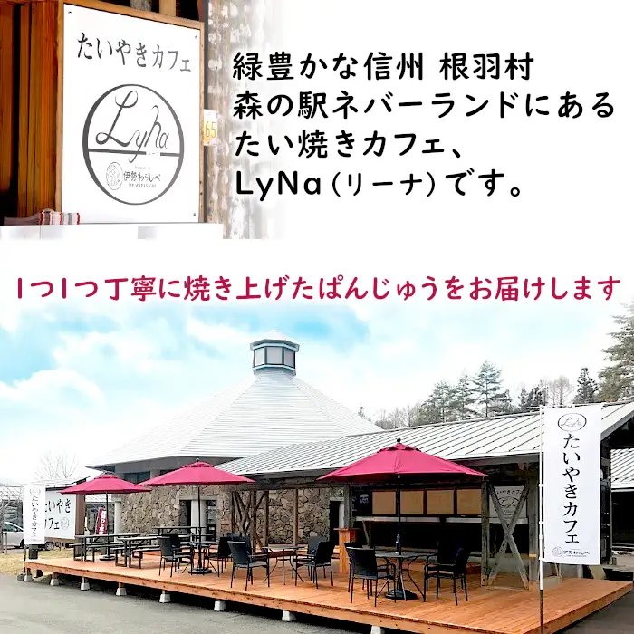 1口サイズで食べやすい  ぱんじゅう リンゴカスタード味 10個入り 和菓子 あんぱん ぱんまんじゅう
