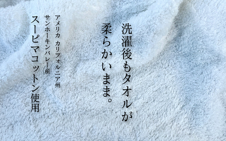 今治タオルブランド認定品   呼吸する バスタオル 2枚セット（ホワイト）