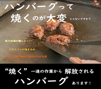 神戸牛 入り プレミアム ハンバーグ 素焼き 9個セット[ 肉 牛肉 簡単調理 時短 電子レンジ 湯煎 小分け 個包装 ] 肉料理 洋食 惣菜 温めるだけ おかず 夕飯 ランチ お弁当 