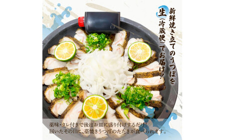 【先行予約】藁焼きうつぼのたたき（タレ・薬味付き）約200g 2～3人前〈2026年11月〜発送〉 タタキ ウツボ うつぼ 高知県 珍味 タレ付き 新鮮 冷蔵 わら焼き セット【さかなの森澤　マル祐】[BQAM004]