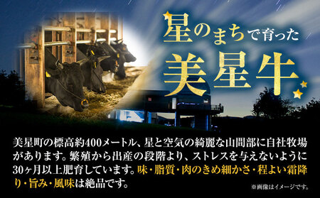牛肉 ステーキ 肉 美星牛 食べ比べセット 1kg 美星ミート《30日以内に発送予定(土日祝除く)》岡山県 浅口市 ステーキ肉 牛肉 牛 厳選 霜降り 冷凍 食べ比べ セット 送料無料
