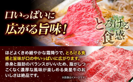  牛肉 ロース スライス 肩ロース 美星牛 約500g入り 美星ミート《30日以内に発送予定(土日祝除く)》 岡山県 浅口市 肉 和牛 国産 牛肉 牛ロース 肩ローススライス すき焼き しゃぶしゃぶ 美星和牛 冷凍 送料無料