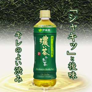 定期便 6回 伊藤園 お～いお茶 濃い茶 600ml×24本 全6回 PET おーいお茶 ペットボトル ケース セット 備蓄 防災 飲料 富士市 [sf066-020]