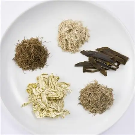 四十物昆布　昆布詰合せ 5種_魚介・海産物  海苔・海藻 _【1157353】