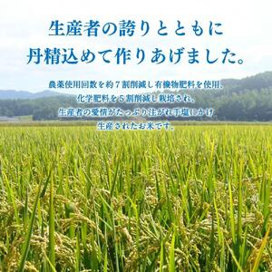《令和7年産》 特別栽培米 ゆめぴりか 5kg×3袋 | ゆめぴりか _00185