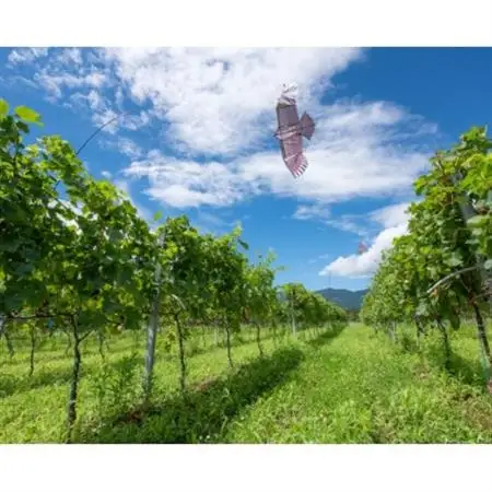 ギフト向け【ワインコンクール受賞】富山県南砺市 ドメーヌボー　赤白ワインセット_酒・アルコール 白ワイン ワイン   酒・アルコール 赤ワイン ワイン _【配送不可地域：離島】【1333584】