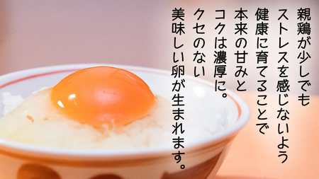 【 定期便 】【 全12回 コース 】 紅プレミアム 卵 30個 （ 25個 入り ＋ 割れ保障 5個 ）