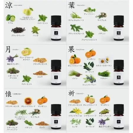 ease12ヶ月のブレンドオイル(5ml×12本)+アロマストーンMONO3種セット【配送不可地域：沖縄県】【1419811】