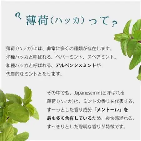easeアロマスプレー　ハッカ 100ml+詰替90mlセット 清涼感あふれる薄荷の香り【配送不可地域：沖縄県】【1427466】