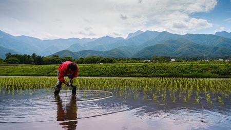 【令和7年度米】そらくも農場のミネラルたっぷりどんぐり米（白米3kg）＋おじら米（玄米3kg） [h148]