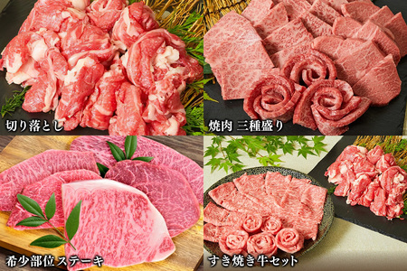 【スピード発送】【4回定期便】佐賀牛 まるごと欲張り お楽しみ便(合計3kg)(H085146)