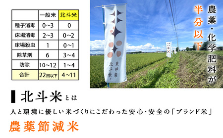 【令和7年産】【定期便3ヵ月】北斗米ゆめぴりか10kg（5kg×2袋）