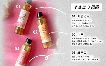 生姜好きさんにオススメ！ 濃厚 しょうがシロップ 2本セット【あまくち】国産 生姜シロップ 自家製 生姜 しょうが ショウガ ジンジャー シロップ 甘口 ドリンク 料理 調味料 高知 四万十 四万十市 しまんと 産地直送 25-756