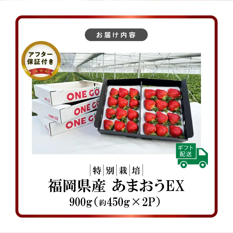 【2027年1月より順次発送】ギフト配送 約450g×2パック EX 福岡県産あまおう〈特別栽培〉_福岡県産 あまおう 約450g×2パック エコファーマー 土づくり 化学合成農薬 化学肥料 低減 特別栽培 ギフト配送 希少価値 EX イチゴ フルーツ デザート 甘い 果汁 贈り物 果物 お取り寄せ 福岡県 久留米市 冷蔵発送 送料無料 〔Fi063〕