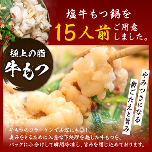 塩もつ鍋15人前セット_もつ鍋 15人前 セット 牛モツ 合計 1.5kg 塩もつ鍋 塩味 粗塩 濃縮スープ 薬味 ちゃんぽん麺 付き ちぢれ麺 濃厚 旨味 さっぱり 冷凍 牛肉 もつ ホルモン プリプリ コラーゲン 鍋 お取り寄せ お取り寄せグルメ 福岡県 久留米市 送料無料 〔Cn126〕