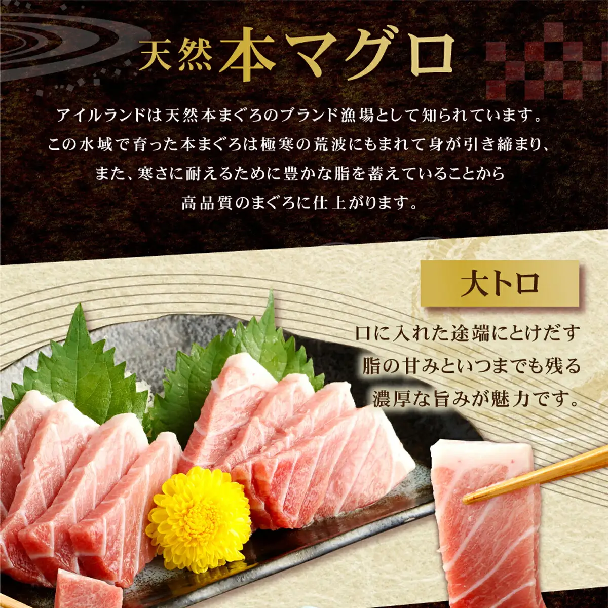 天然本マグロ切り落とし720g 【まぐろ】tk038