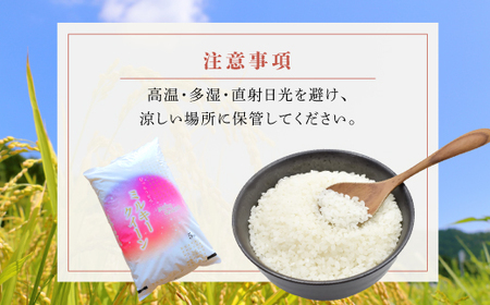 滋賀県愛荘町産 ミルキークイーン 5Kg 令和7年産 新米 2025年 AC02