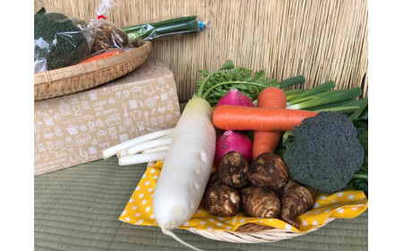 【栽培期間中無農薬＆減農薬】季節の野菜ハーフセット （KBE-113）
