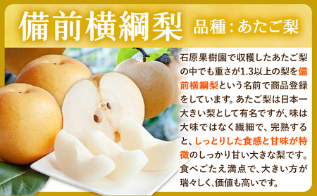 【先行予約】梨 なし 横綱梨 計2kg 備前横綱梨 1玉(1～1.5kg/玉) 備前乙女梨 2～3玉 石原果樹園 《11月中旬-12月下旬頃より発送予定》岡山県 浅口市 果物 フルーツ 梨 詰め合わせ あたご梨 鴨梨