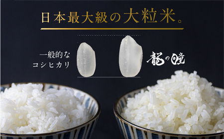 2024年産 龍の瞳飛騨産 2kg 令和6年産 飛騨市産 米 精米 飯 ごはん 高級 ギフト 贈り物 白米[Q1999x_24]