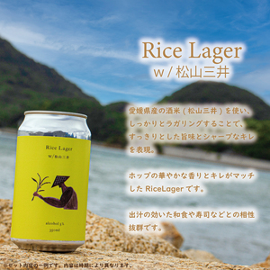 おまかせ興居島うまれのクラフトビール12本セットクラフトビール【GB003】