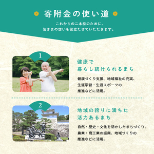 ふるさと応援寄附金 （返礼品なし）5,000円 寄付 福島県二本松市 二本松市 ふくしま 福島県【福島県二本松市】
