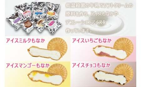 ＜アイスもなか 5種10個セット＞2か月以内に順次出荷【c592_sn_x3】 アイス 自家製 セット