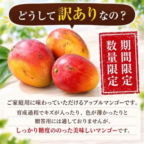 【2027年6月下旬から順次発送・家庭用】JAおきなわ厳選 完熟アップルマンゴー約1kg(2～4玉)【配送不可地域：離島】【1439150】